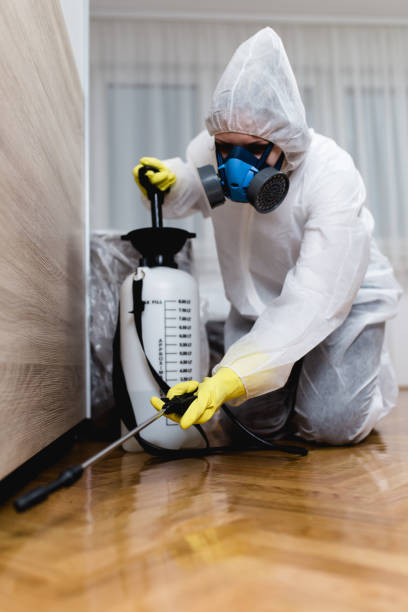 Best Residential Pest Control  in Metter, GA